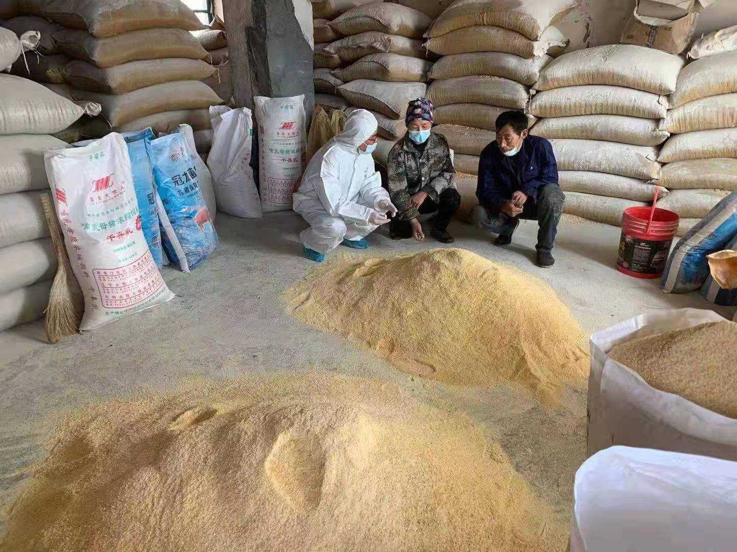 奮進(jìn)紅興隆 | 唱響雁鄉(xiāng)新牧歌——聚焦畜牧業(yè)轉(zhuǎn)型升級(jí)的“八五三探索”與畜牧漁業(yè)飼料銷(xiāo)售