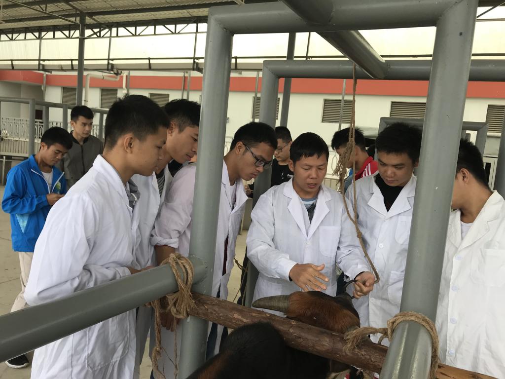 學(xué)畜牧技術(shù)，走致富之路——畜牧漁業(yè)飼料銷(xiāo)售的關(guān)鍵策略