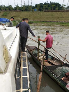 南溪區開展國慶節前漁船安全生產專項檢查，確保畜牧漁業飼料銷售與漁業生產安全