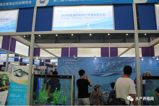 近500家水產產業鏈企業齊聚合肥漁博會，現場亮點紛呈，行業盛事引領產業新方向