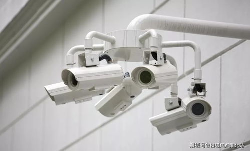 嘉興桐鄉(xiāng)碧桂園繁華里 項(xiàng)目信息與官方聯(lián)系方式指南